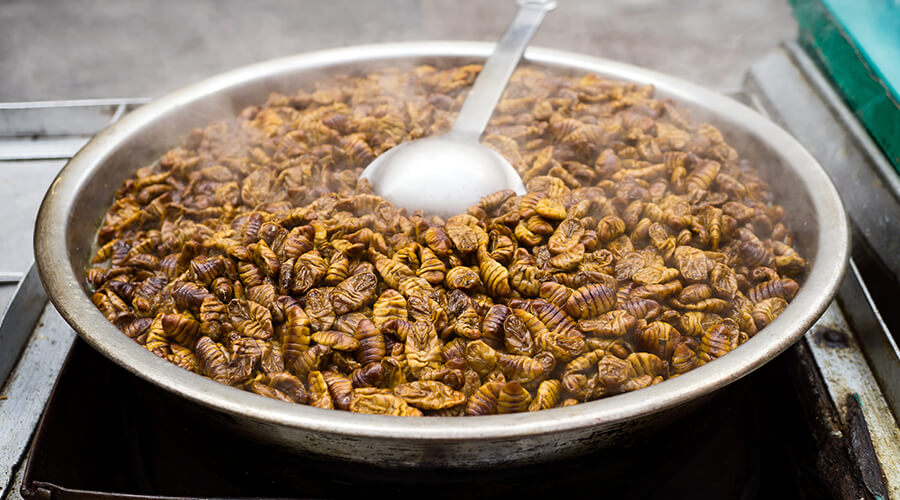 beondegi at street market