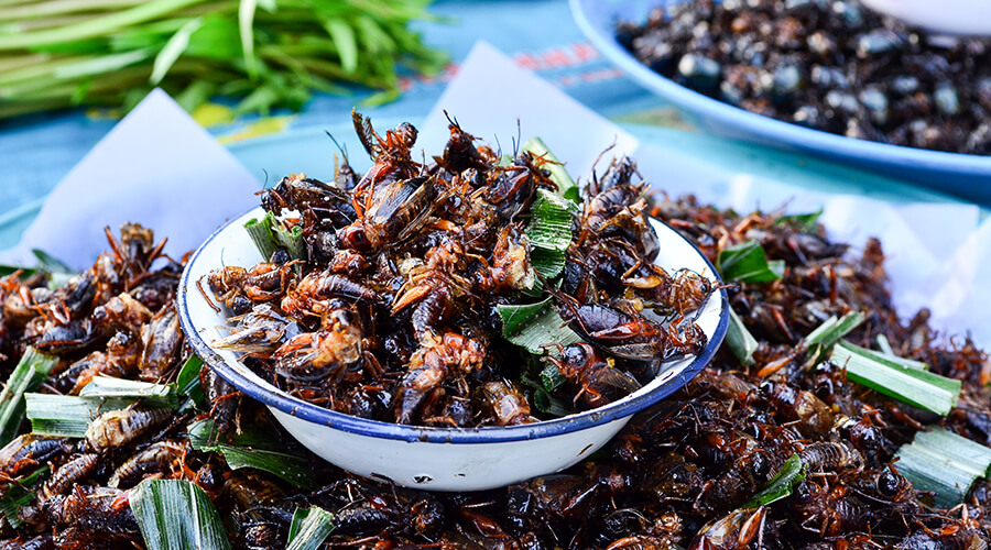 crickets served up in Thailand