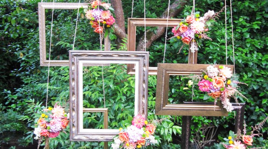 frames hanging from tree